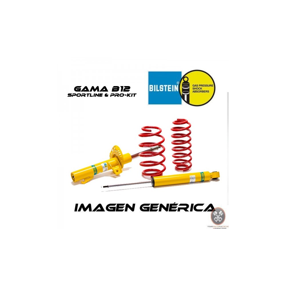 Juego suspensión Bilstein B12 46-280220