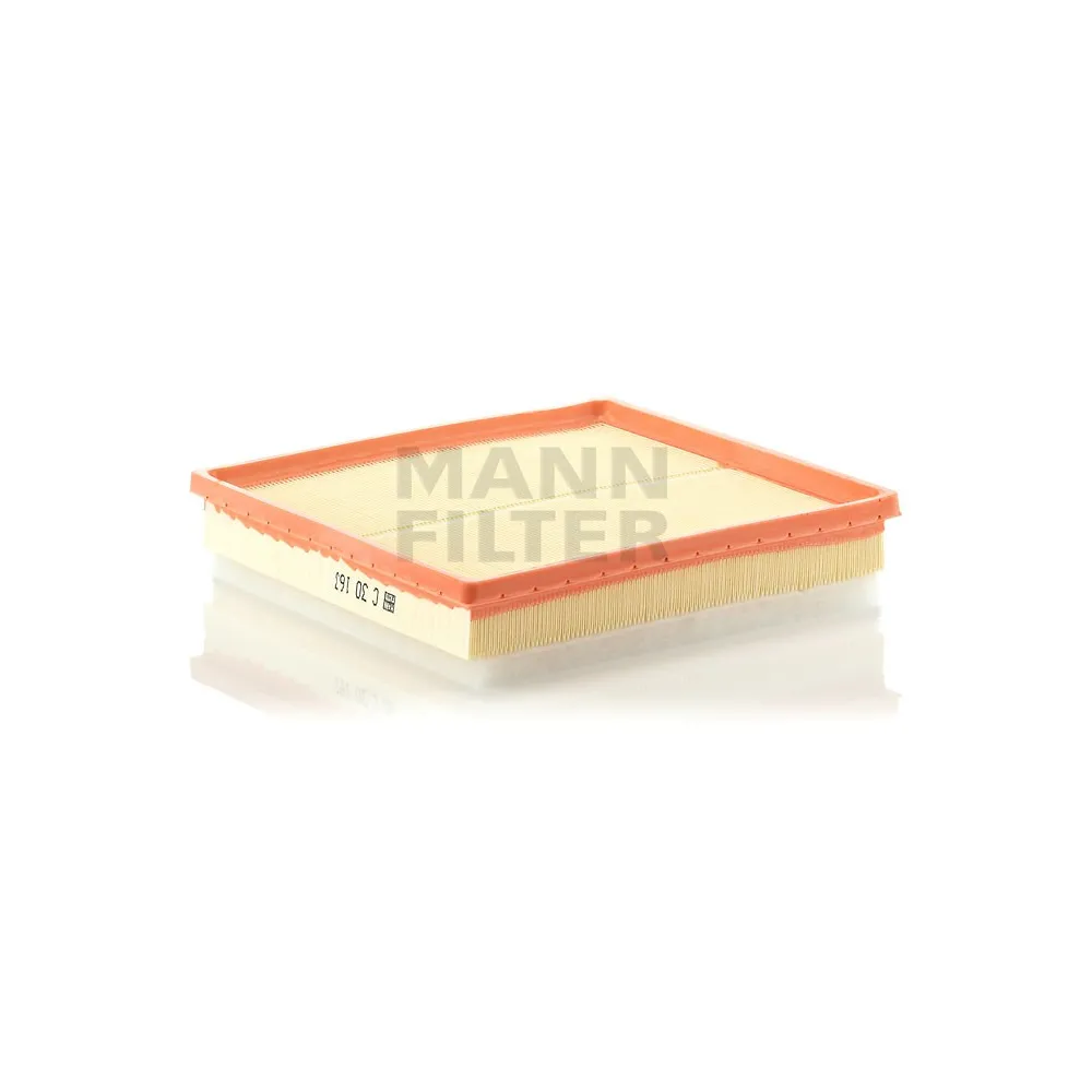 Filtro aire Mann C 30 163