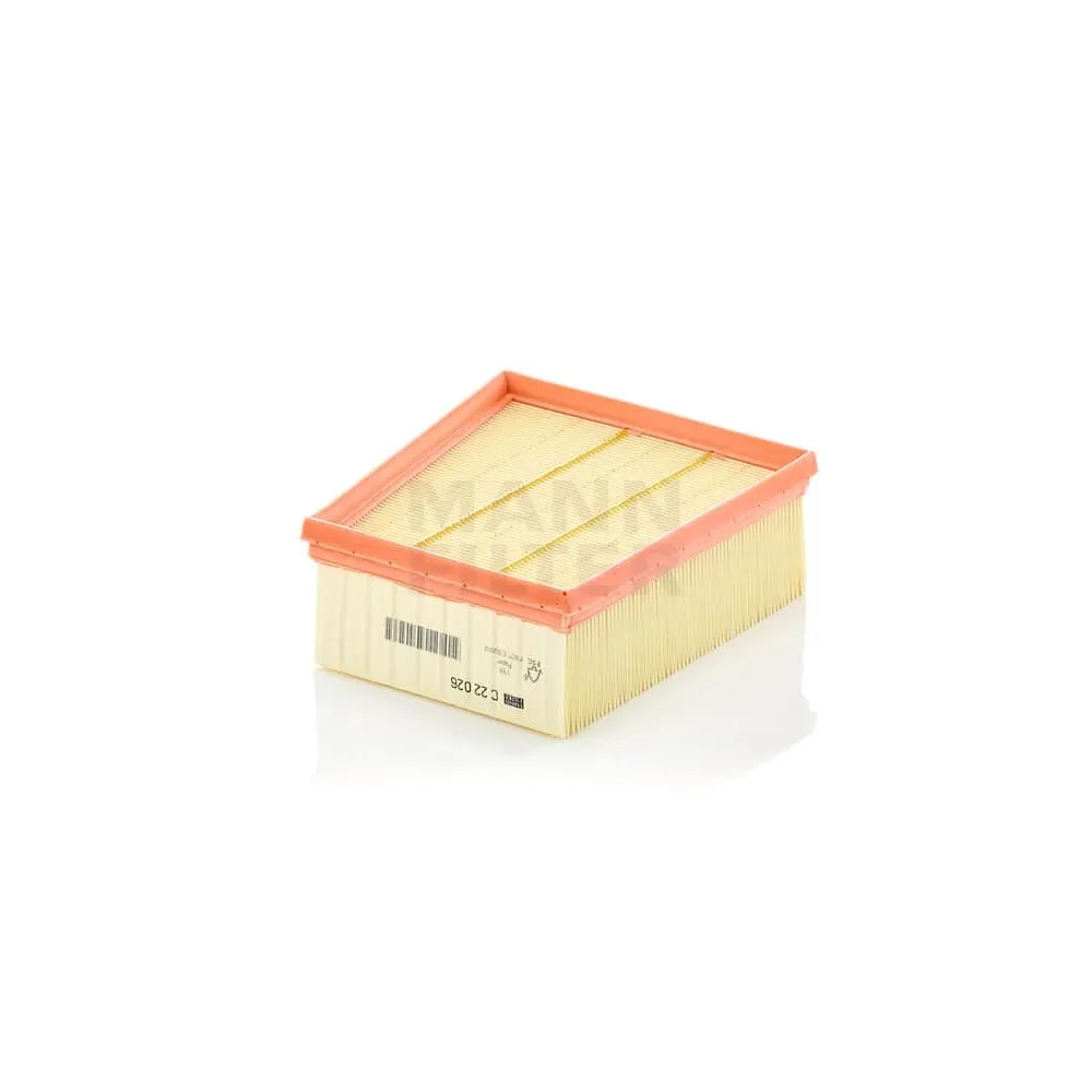 Filtro de aire Mann Filter C 22 026
