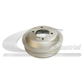 3RG - 10117 - Polea, bomba de agua