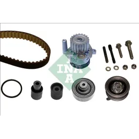 Kit de distribucón Ina 530008230