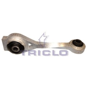 Triclo 365356 Tirante Inf. Sop.Motor Clio 2