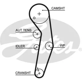 Juego correa dentada con bomba Gates KP55569XS-2