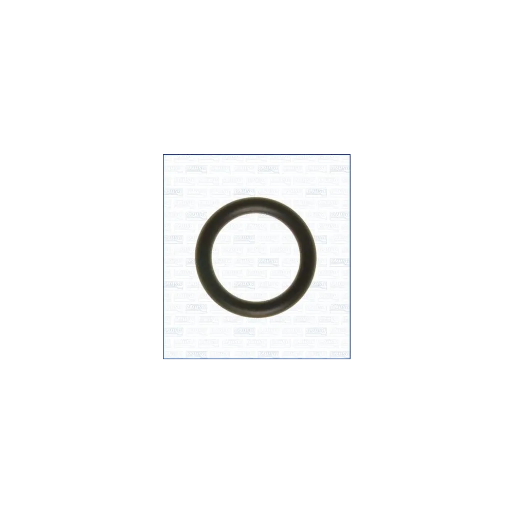 16072400 Junta, colector de admisión