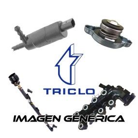 Triclo 162690 Moldura Techo Golf 3 Y 4,Inca