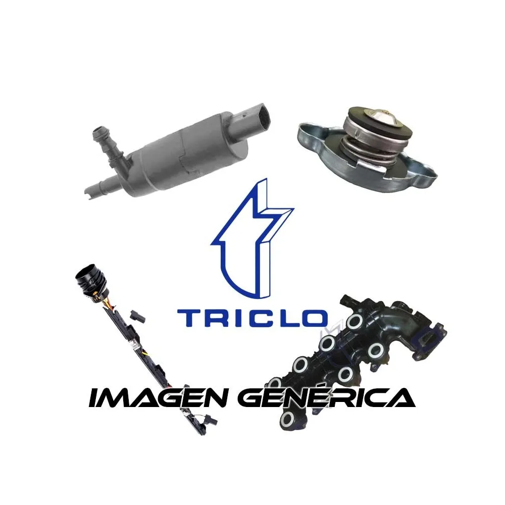 Pion Cigueal Renault  1.9D