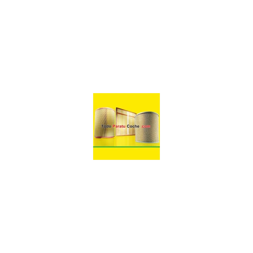 Filtro aire Mann C2436/1