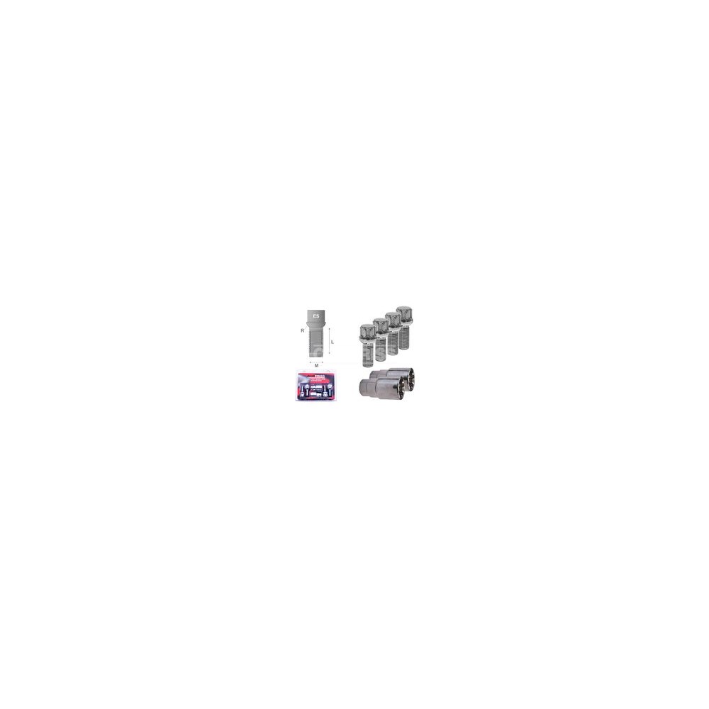 Tornillo antirrobo CarPriss M14