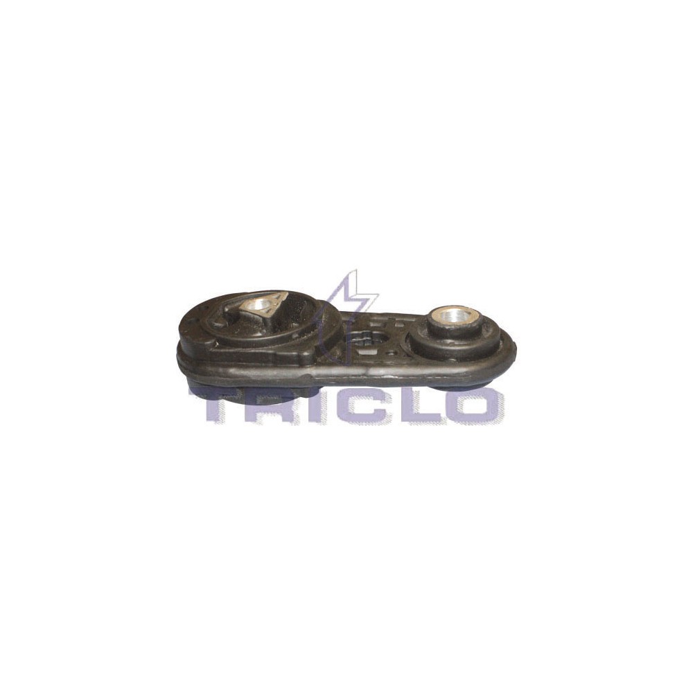 Triclo 365495 Sop.Motor Tras. Megane 2 1.9D