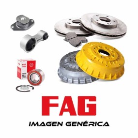 Kit rueda. Wheel Set FAG 713670400