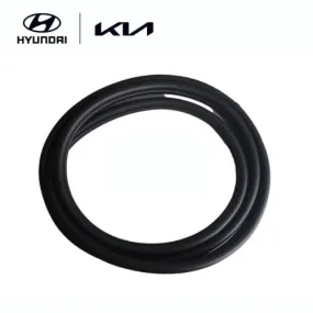 Moldura puerta trasera derecha ORIGINAL HYUNDAI - 83120G2000