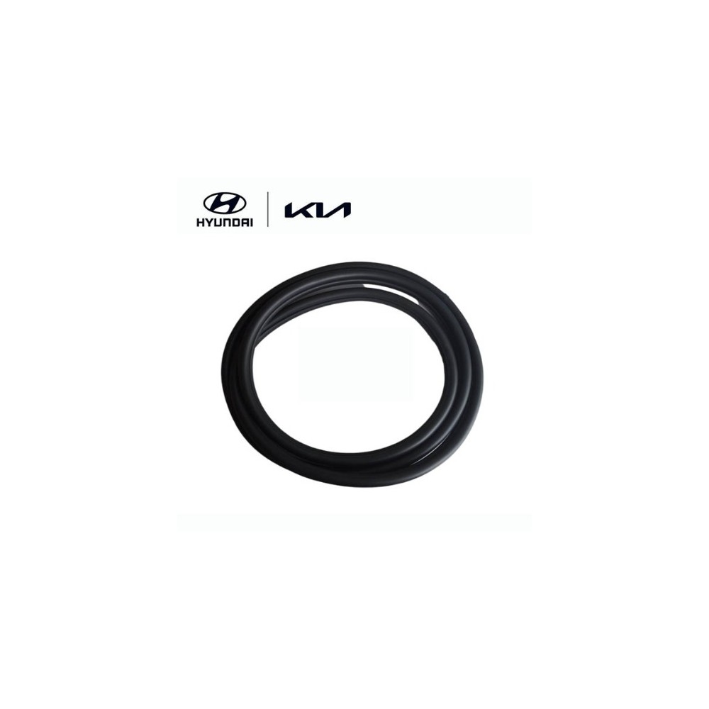 Moldura puerta trasera derecha ORIGINAL HYUNDAI - 83120G2000