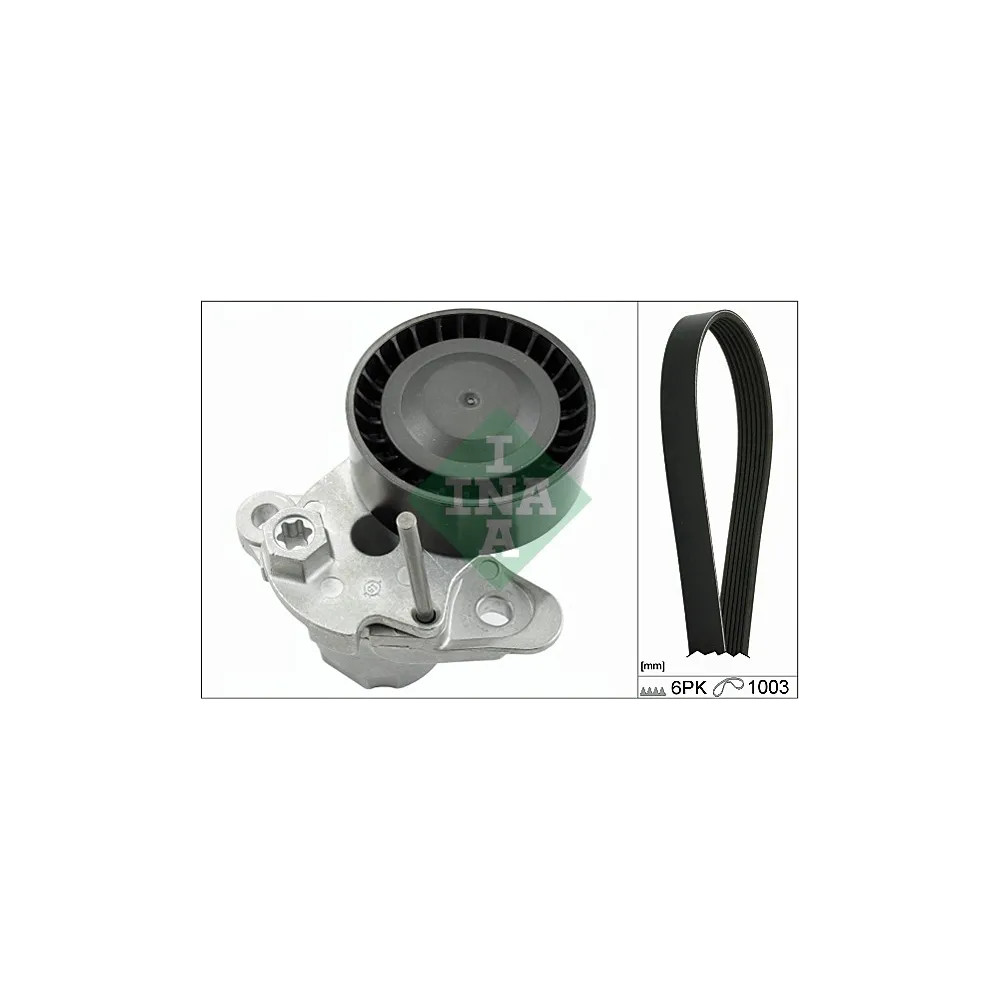 Juego de correa trapecial y tensor INA 529 0159 10