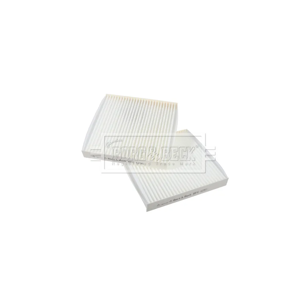 Filtro habitáculo BORG&BECK - BFC1255