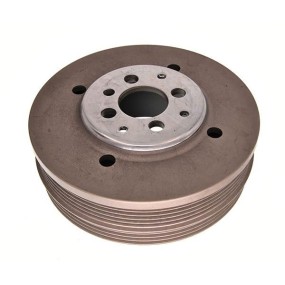 Polea de Cigüeñal Original VW motores 3B2/AFN 0281052630