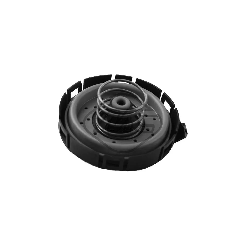 Membrana Ventilación Carter 93503