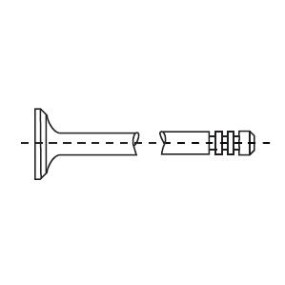 VALVULA DE ADMISION BMW CORTECO 554032B