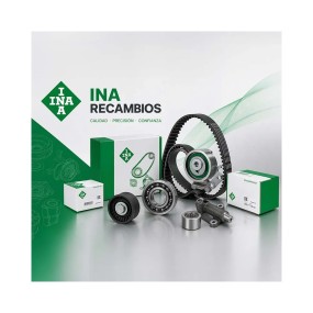 Correa auxiliar acanalada INA FB3PK670