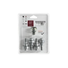 Kit Tornillos Antirrobo Originales PSA 16 126 164 80 (1688061880)