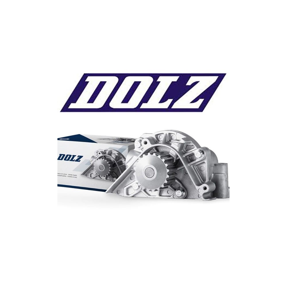 Bomba Agua Dolz A300