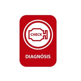 Diagnosis- Averías Motor OBD