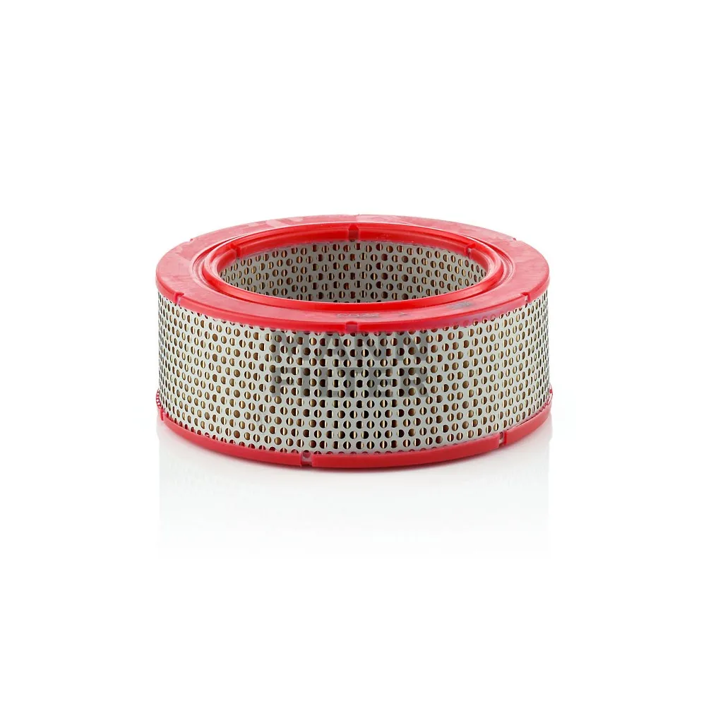 Filtro aire Mann C 2263