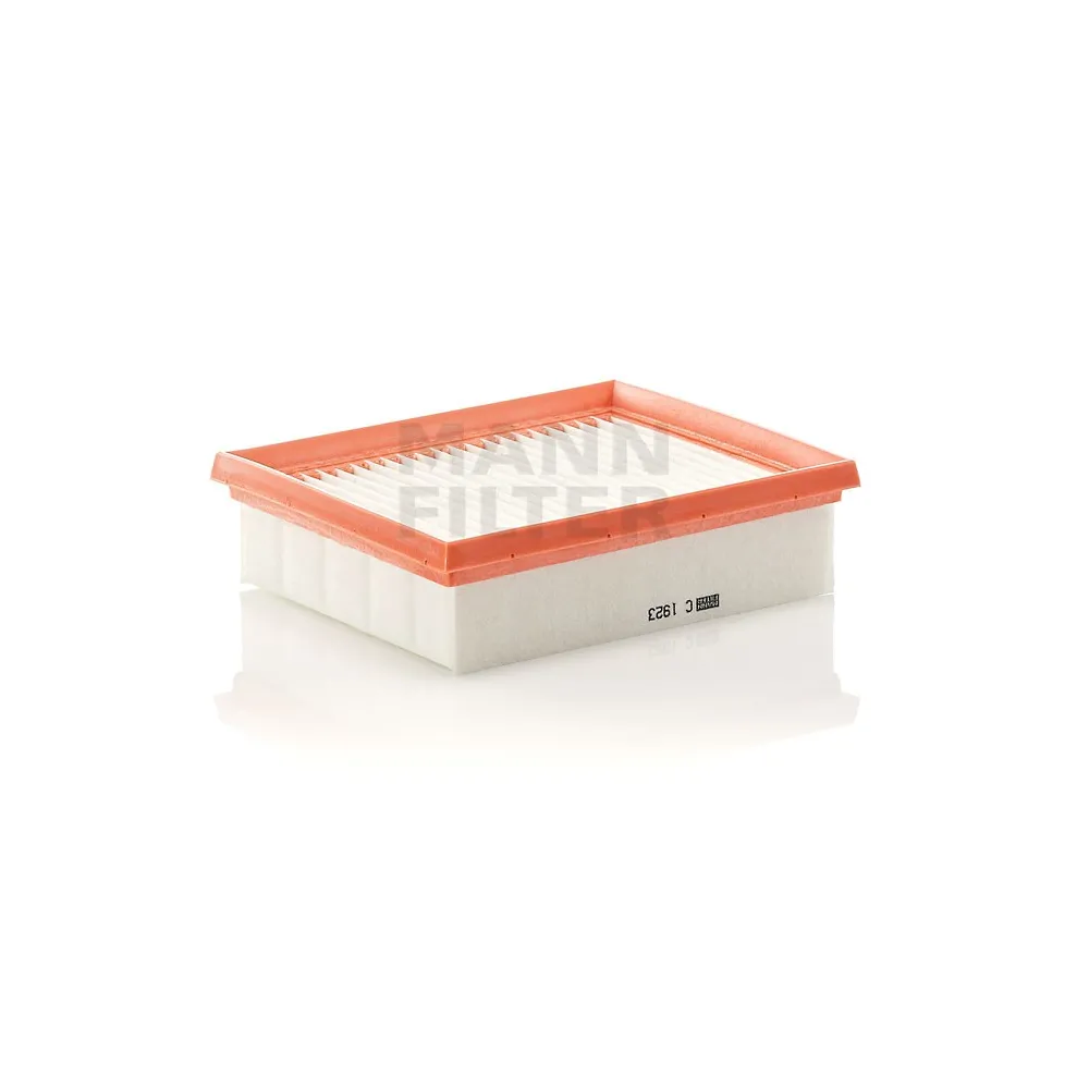 Filtro aire Mann C 1923