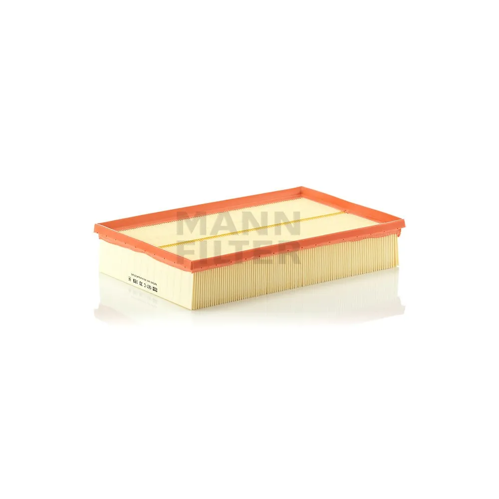 Filtro aire Mann C 30 189