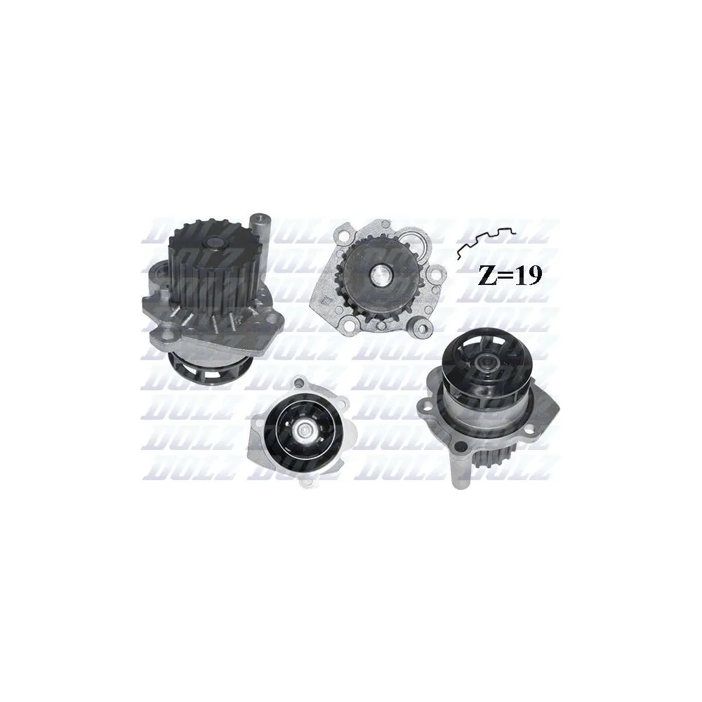 DOLZ BOMBA AGUA VW A250